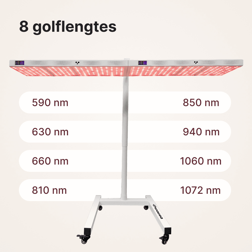 ATP Pro Duo Set: 2 x ATP Pro 1500 + Standard & Verbindungsstück