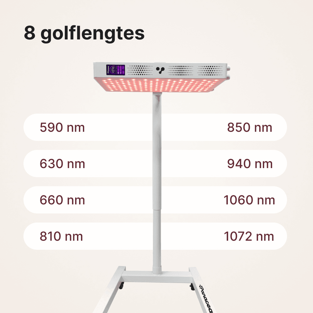 ATP Pro Essential Set: ATP Pro 700 + Standard